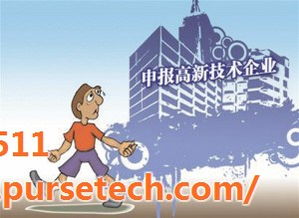 科技中介服务 企业创新与发展的智慧桥梁