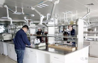 肥西县高新技术企业认定实现新突破，社会经济咨询服务赋能产业升级